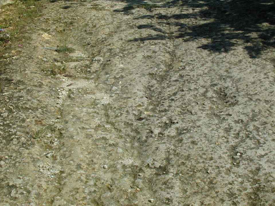 Hotelgarten / Zugangsbereich Hotel Summerset Village