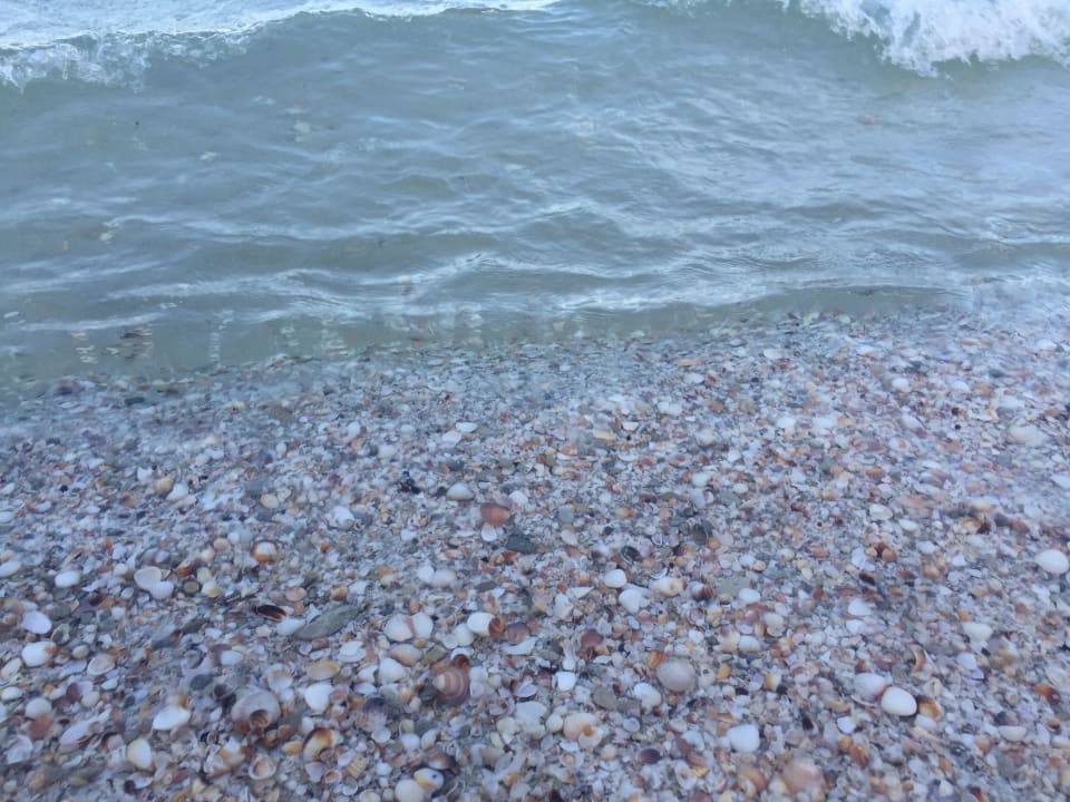 Strand Mahdia Beach & Aquapark