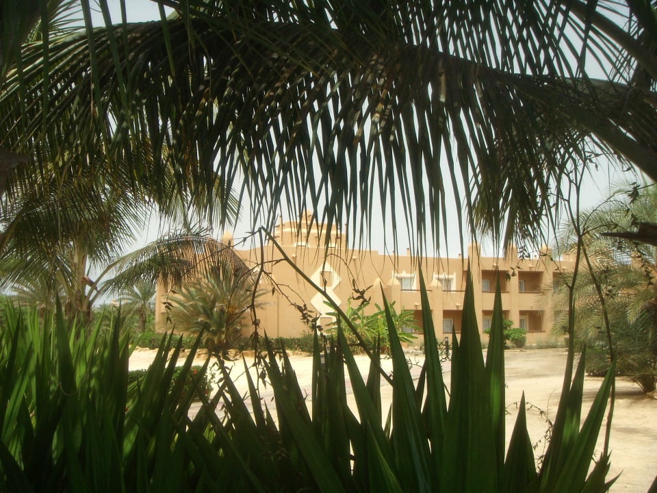 Begrünte Gehwege und Sandflächen Hotel Riu Funana