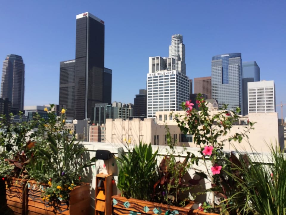 Ausblick Freehand Los Angeles