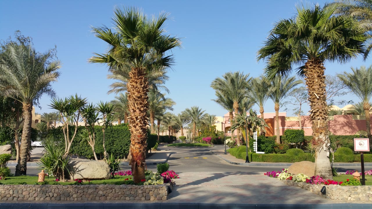 Gartenanlage Jaz Makadi Oasis Resort