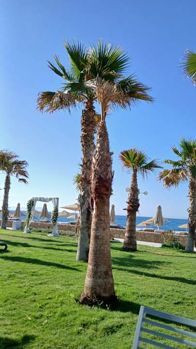 Gartenanlage Lyttos Mare