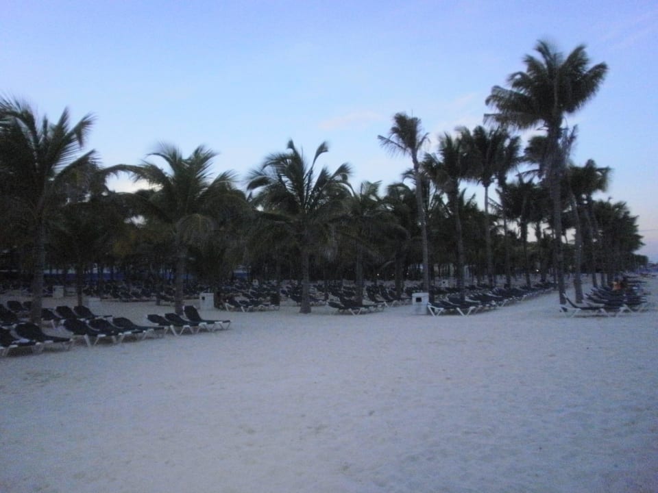Toll oder?! Hotel Riu Tequila