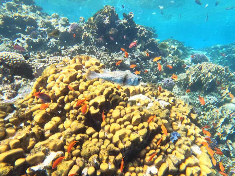 Strand Casa Mare Resort