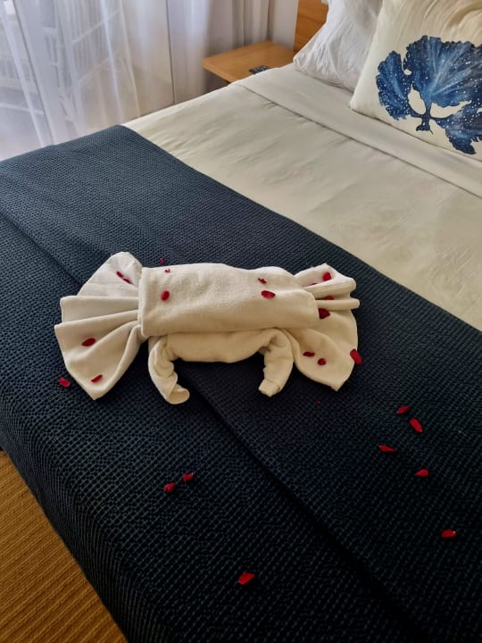 Zimmer Lagoon Attitude - Adults only