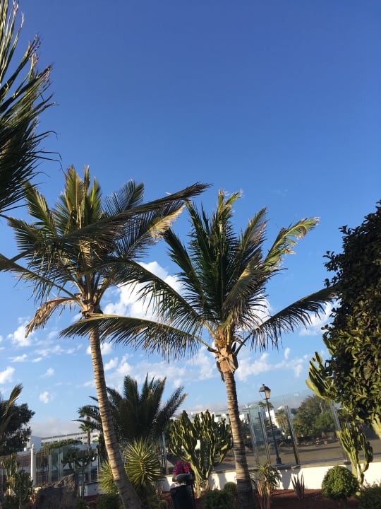 Ausblick Hotel Las Costas