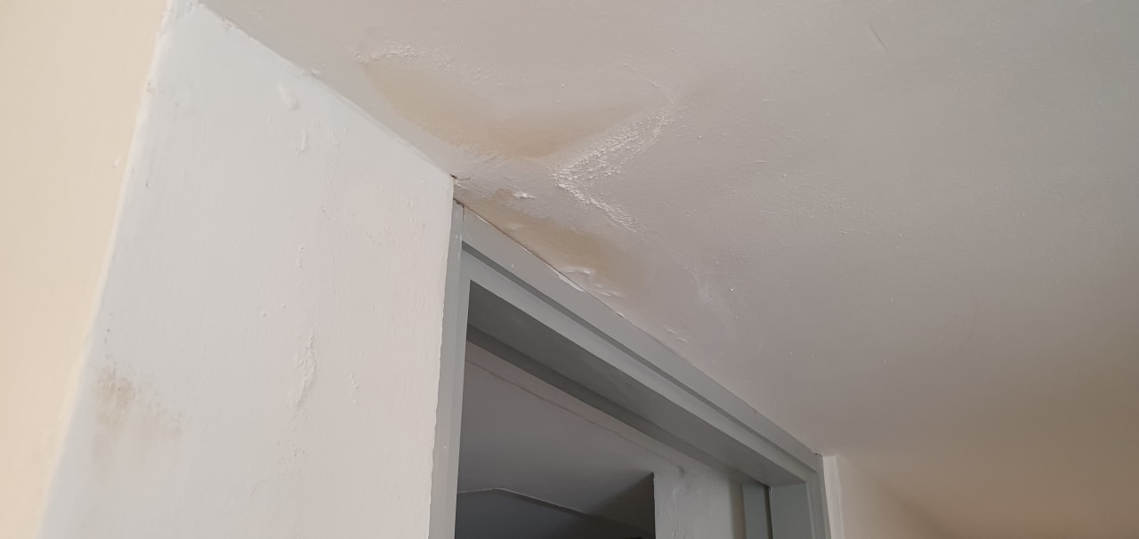 Zimmer Hotel Viva Dominicus Beach by Wyndham - All Inclusive Resort