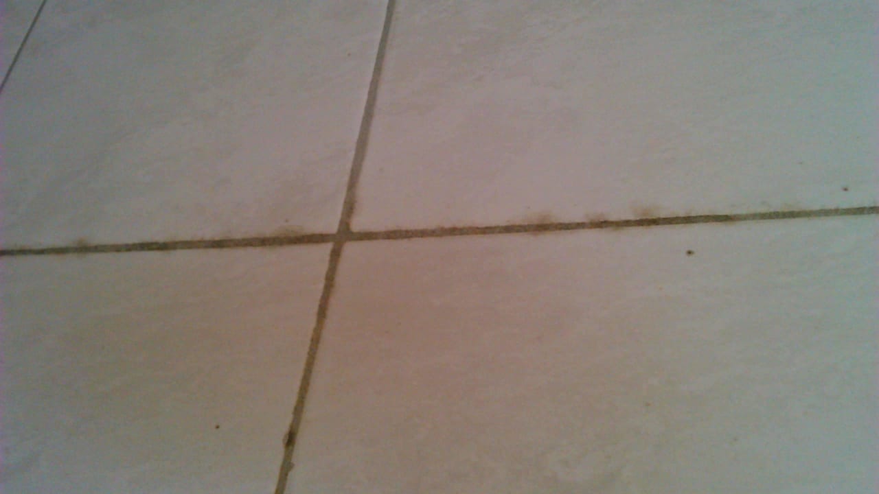 Duschfliesen verschimmelt Pension Gästehaus Am Purkshof