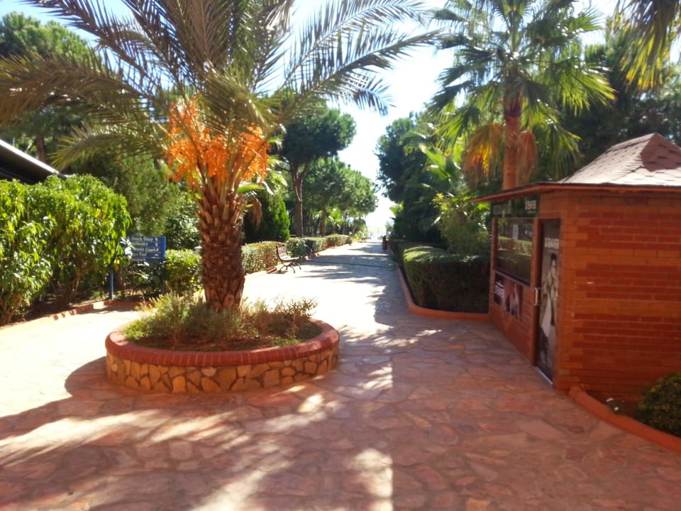 Anlage Club Turtas Beach Hotel