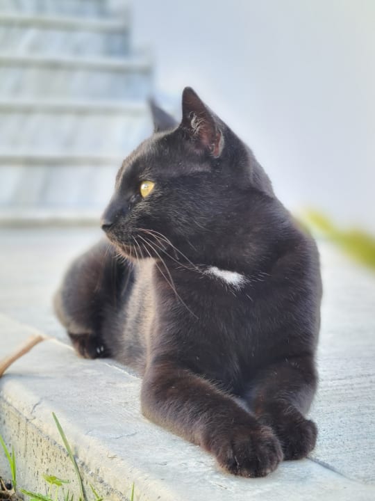 Sonstiges Summer Village of Hippokrates - Adults only