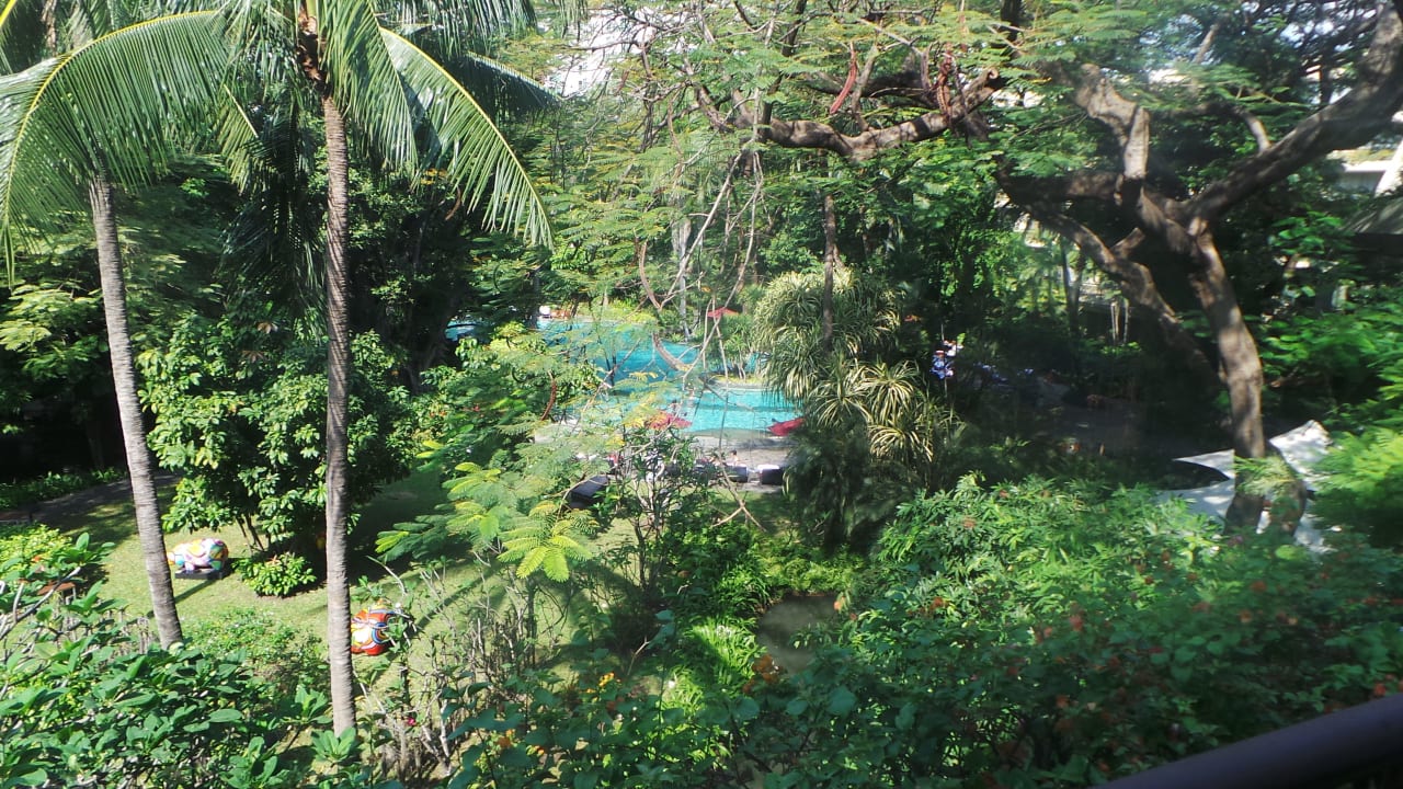 Ausblick in die ruhige Gartenanlage mit Pool Movenpick BDMS Wellness Resort Bangkok