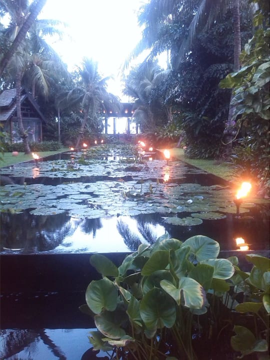 Fackeln im Garten Anantara Bophut Koh Samui Resort