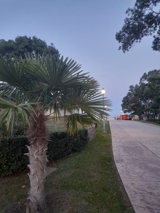 Sonstiges Hotel Borjana