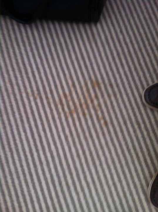 Teppichbeschmutzung acom Hotel München