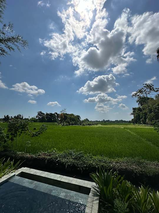 Ausblick Grün Canggu Garden