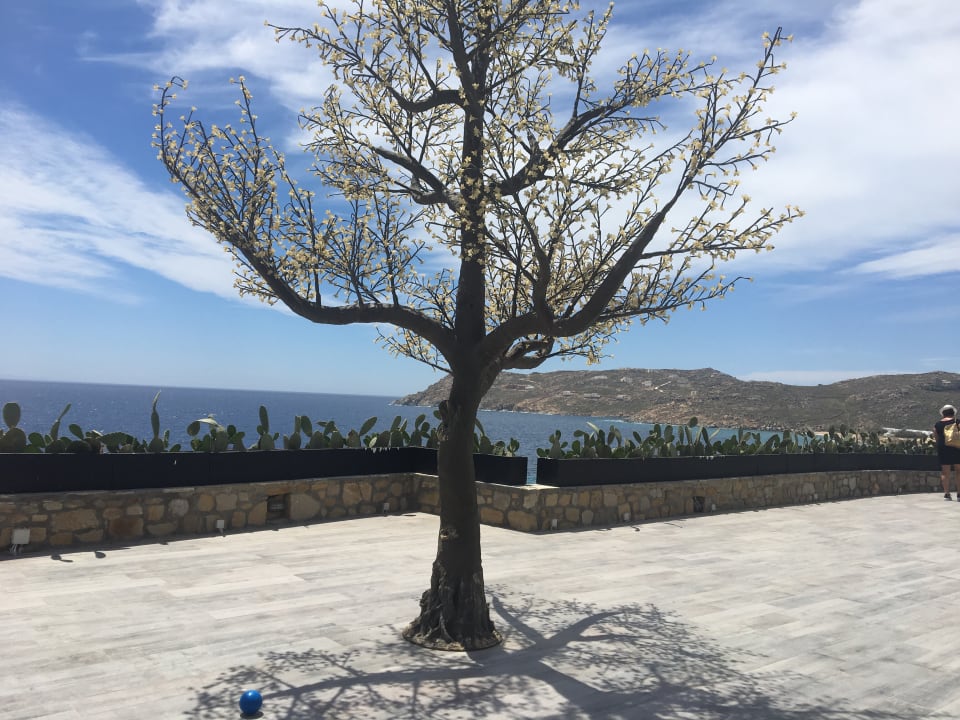 Ausblick Myconian Imperial Resort & Thalasso Spa Centre