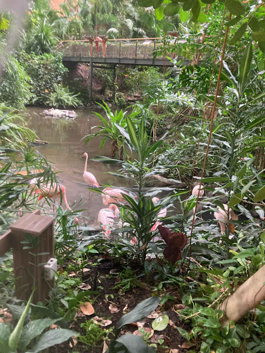 Gartenanlage Tropical Islands Resort