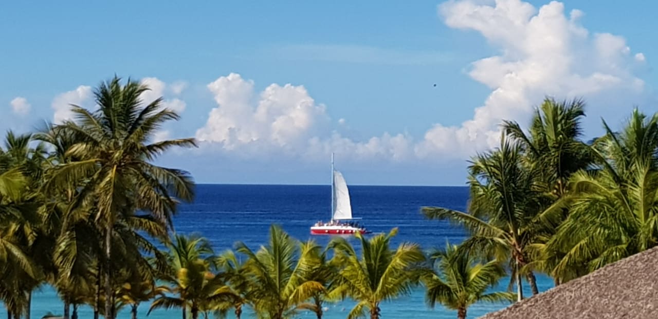 Ausblick Hotel Viva Dominicus Palace by Wyndham-All Inclusive Resort