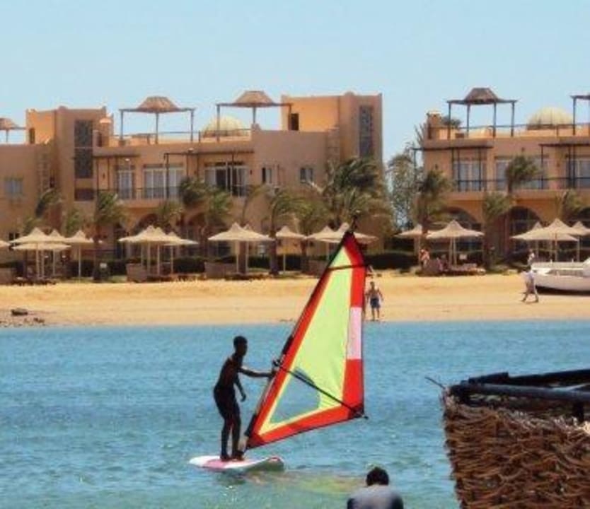 Winserfing Desert Rose