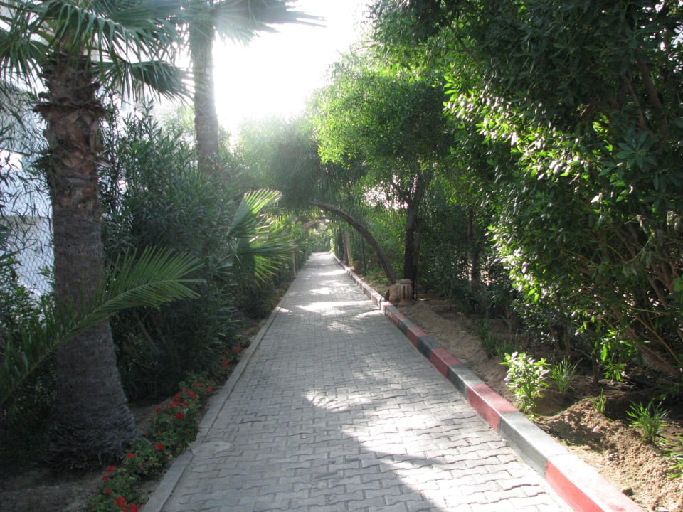 Der Weg zum Strand Hotel Royal Nozha