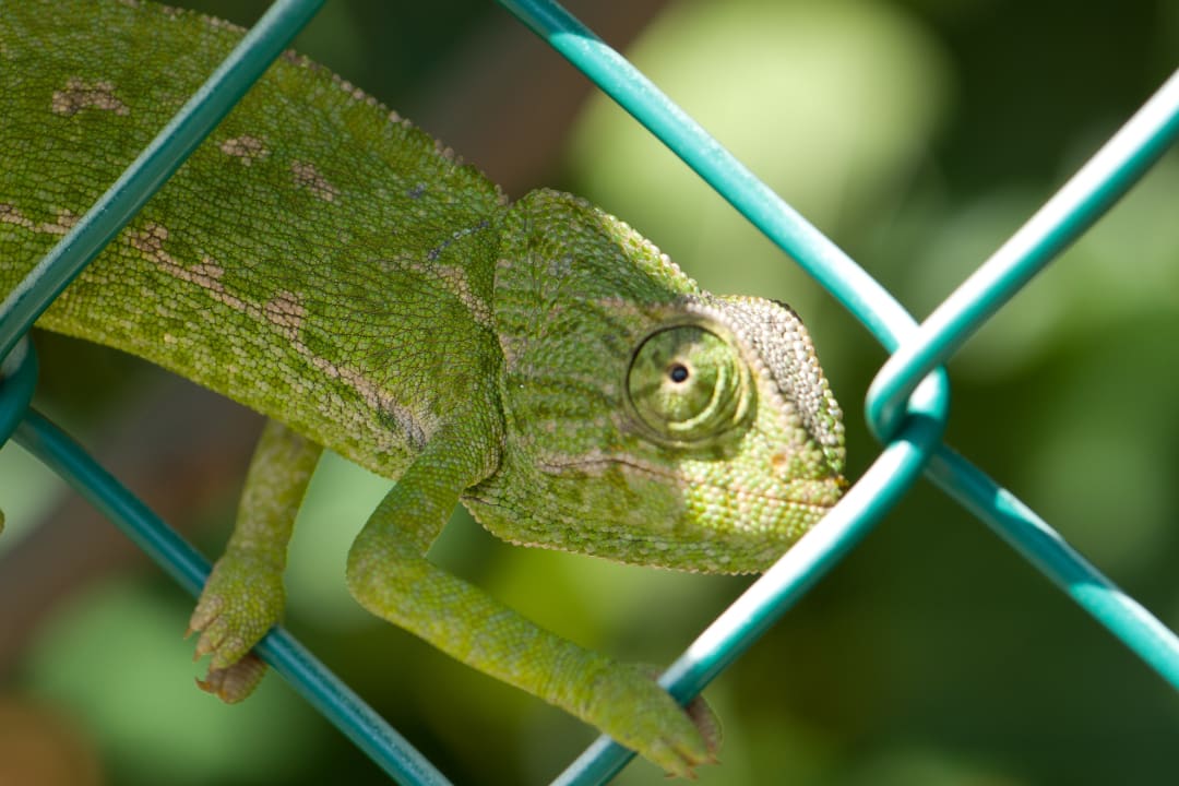Gartenanlage Casa Flor de Sal