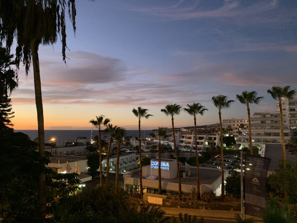 Ausblick Dreams Jardín Tropical