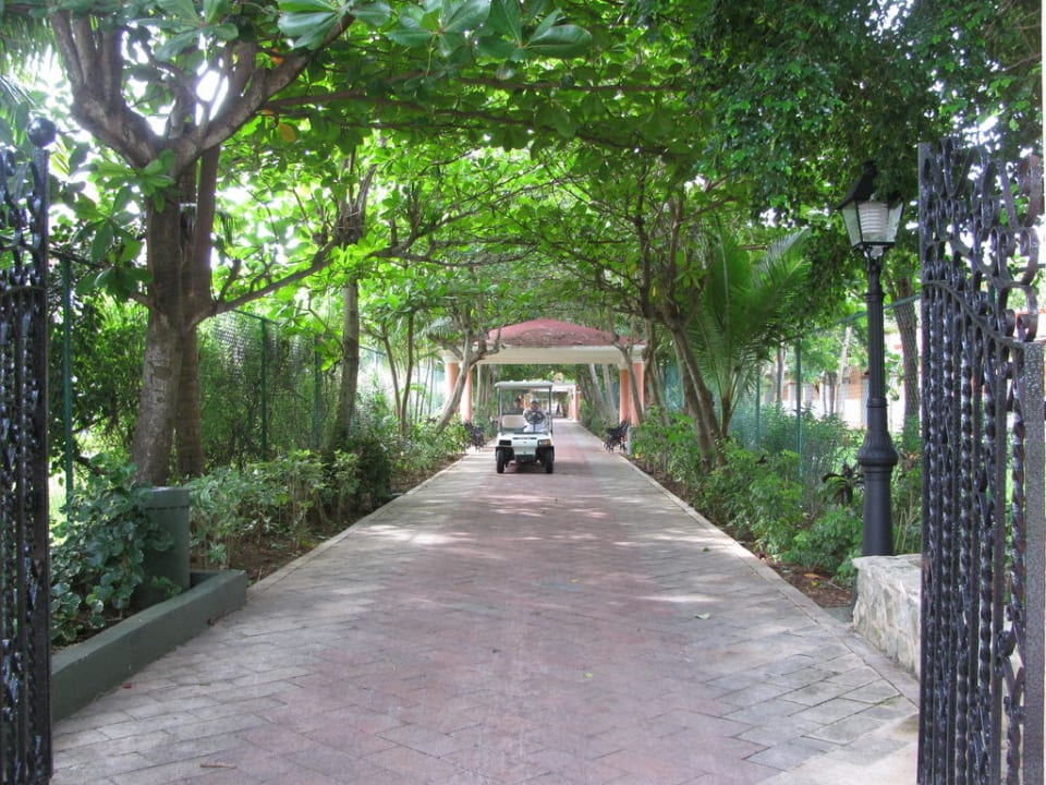 Weg zum Strand Hotel Riu Tequila