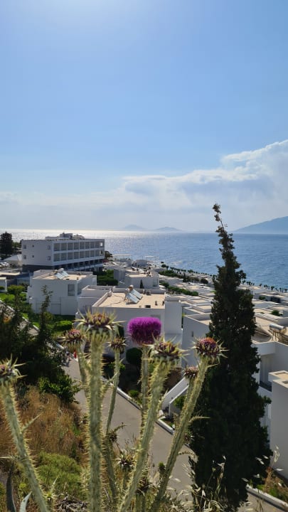 Außenansicht Dimitra Beach Hotel & Suites