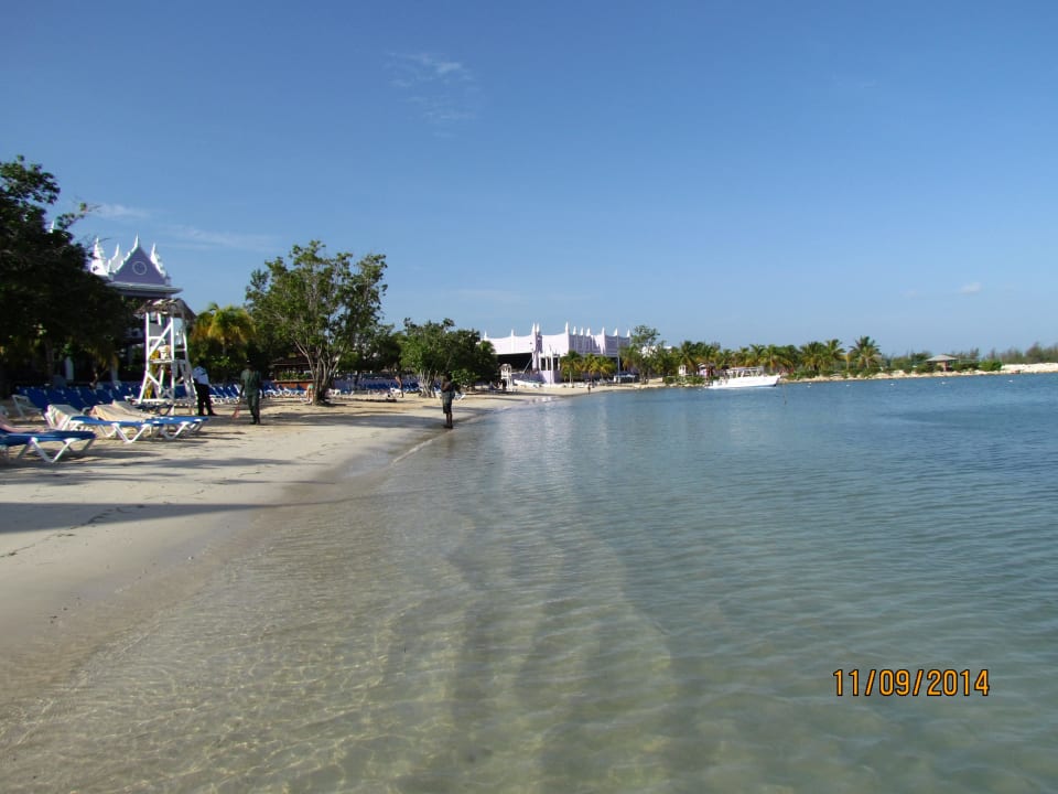 Strand am Morgen Riu Montego Bay - Adults Only