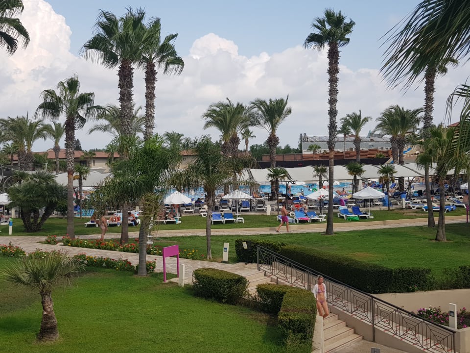 Ausblick TUI BLUE Palm Garden