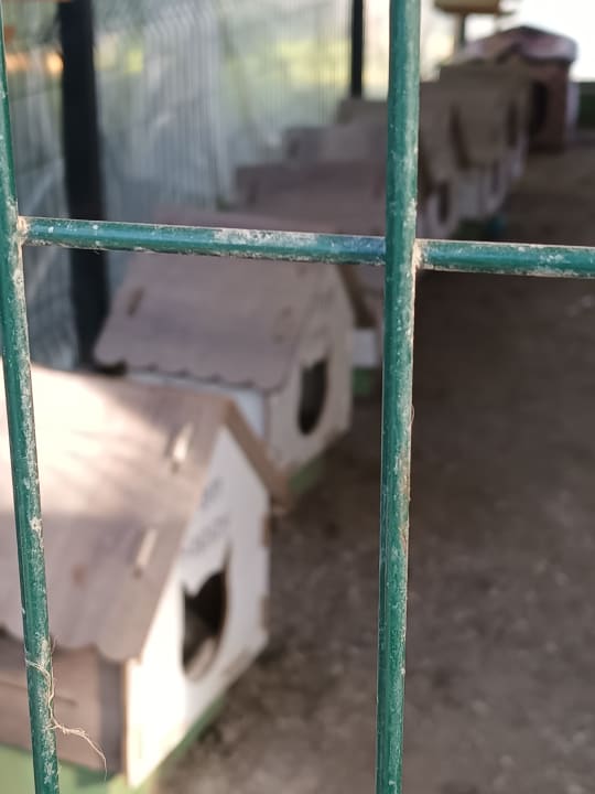 Sonstiges Limak Limra Hotel & Resort