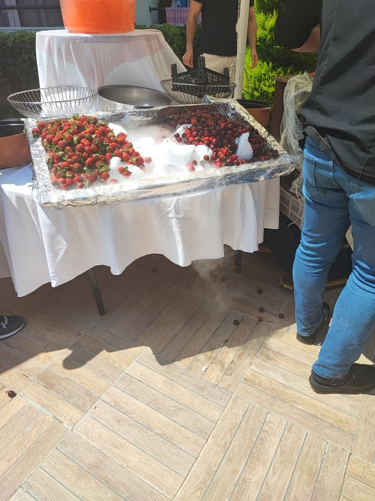 Gastro Armas Bella Sun