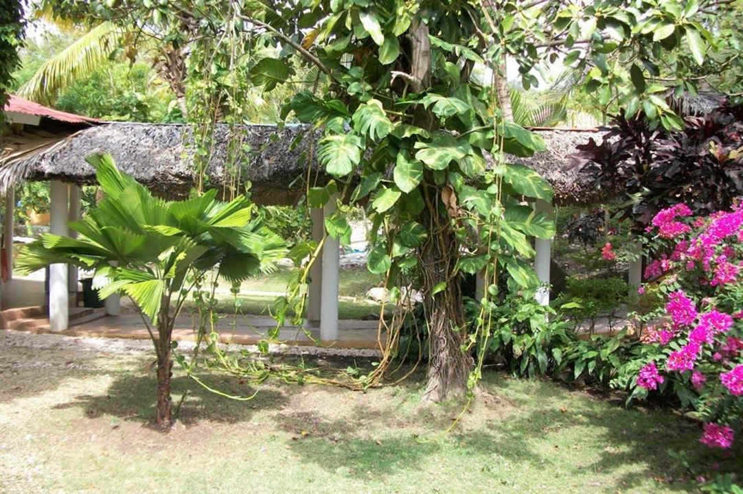 Jardines Rancho Don Cesar Hotel Rancho Don Cesar