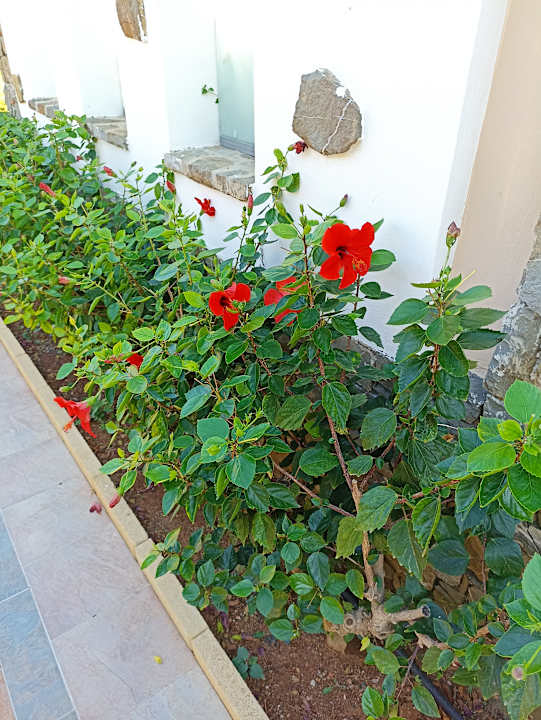 Außenansicht Atrium Prestige Thalasso Spa Resort & Villas