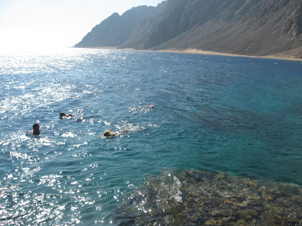 Schnorcheln im Meer Happy Life Village