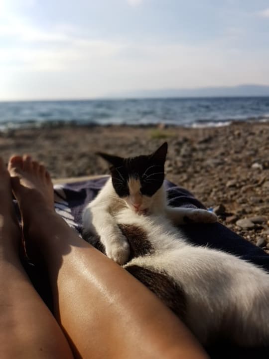 Sonstiges Aphrodite Hotel