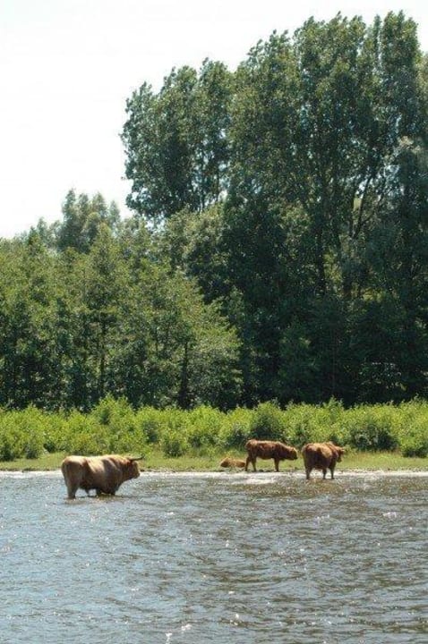 Marina Beach (NL) Oostappen Vakantiepark Marina Beach