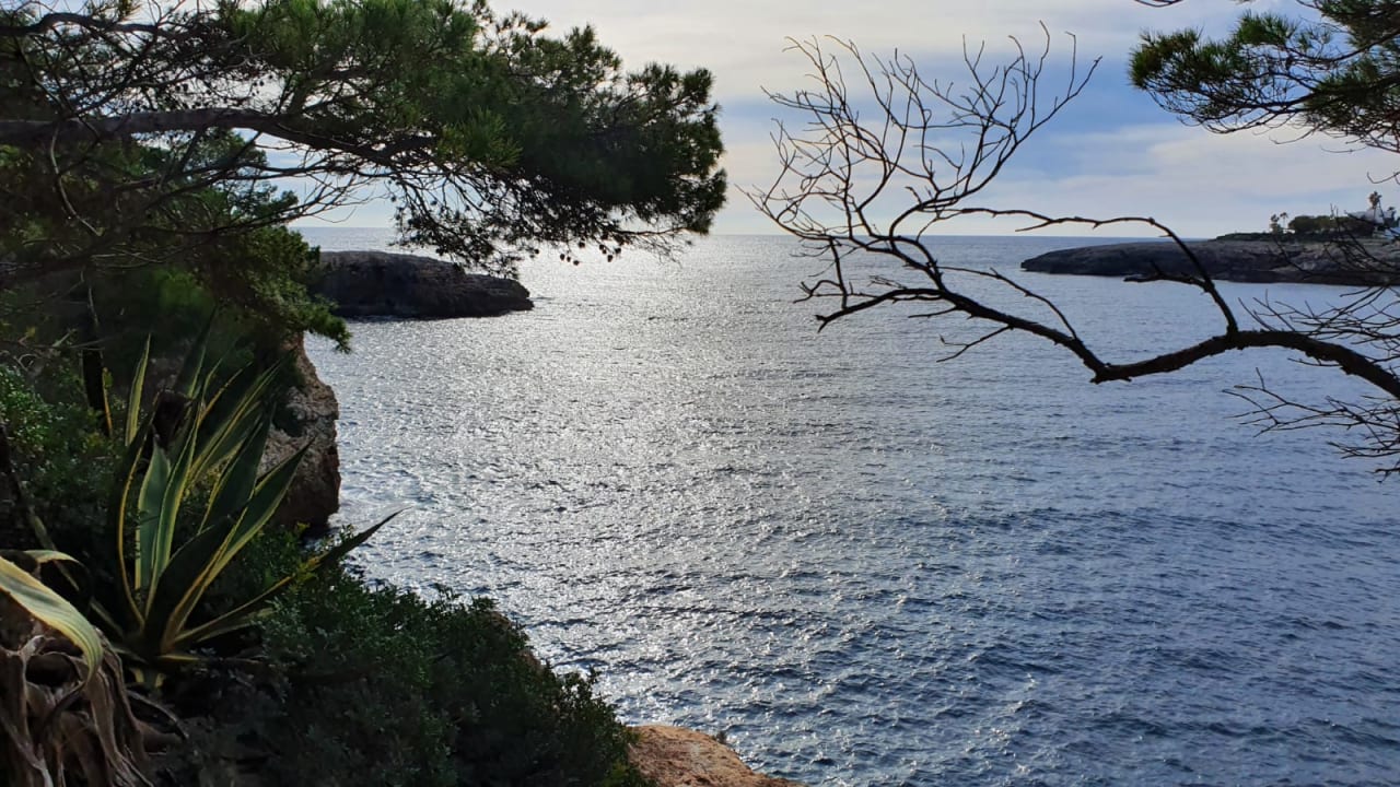 Ausblick ROBINSON CALA SERENA