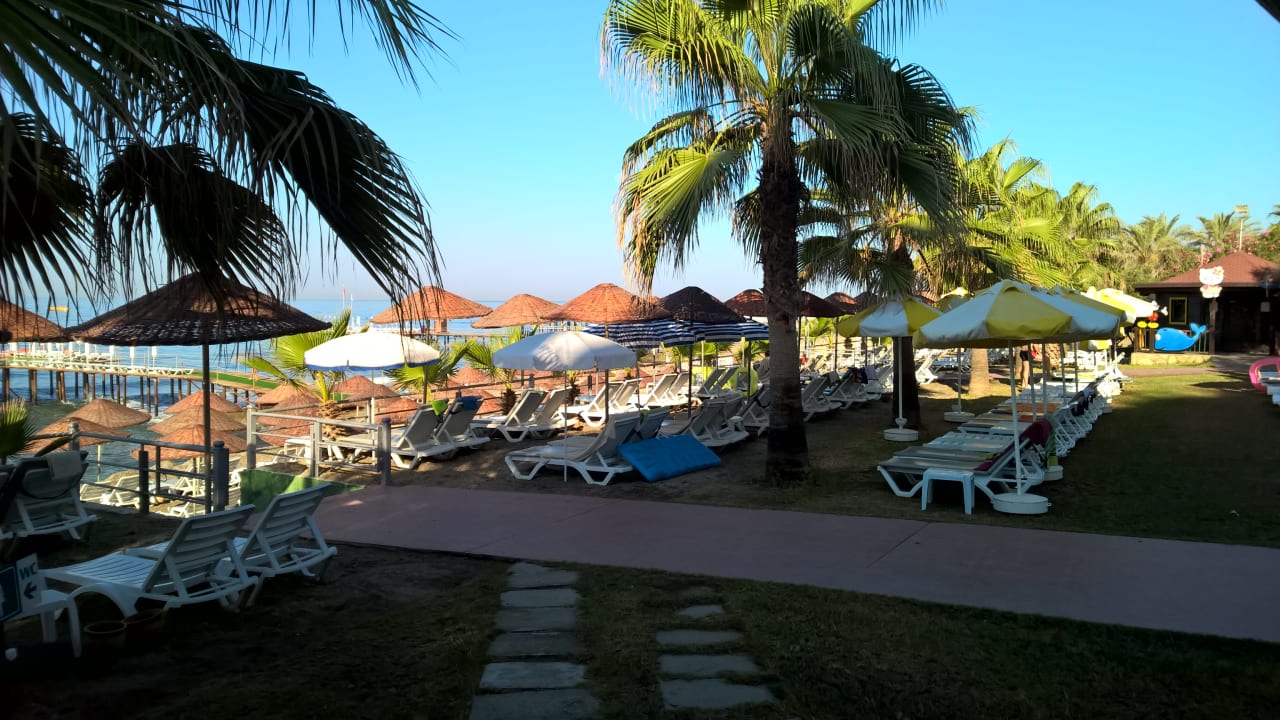 Strand Dizalya Palm Garden