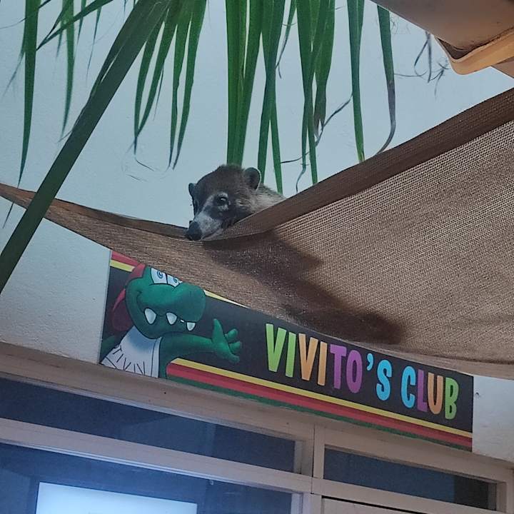 Gartenanlage Viva Azteca by Wyndham - All Inclusive Resort