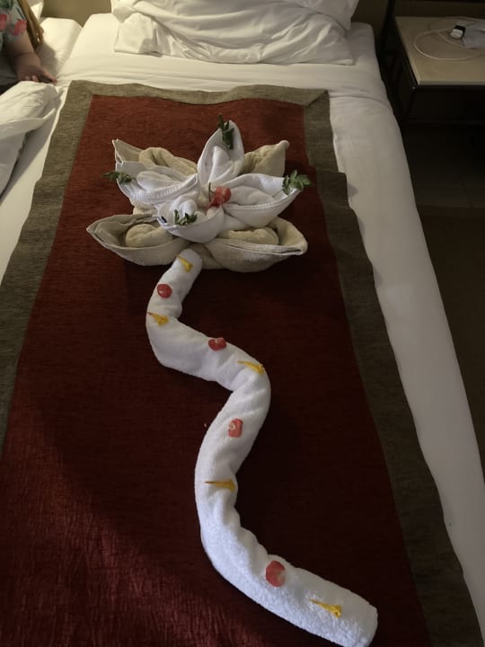 Zimmer Jaz Makadi Oasis Resort