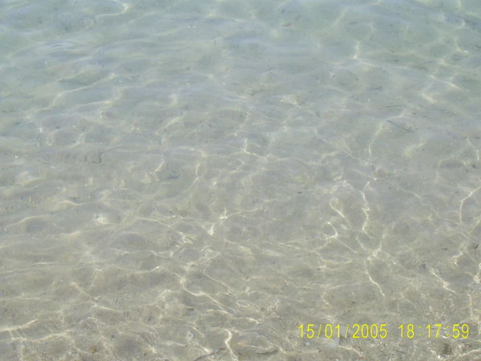 Klares Meer Wasser, man sieht alles im Wasser Hotel The Holiday Resort