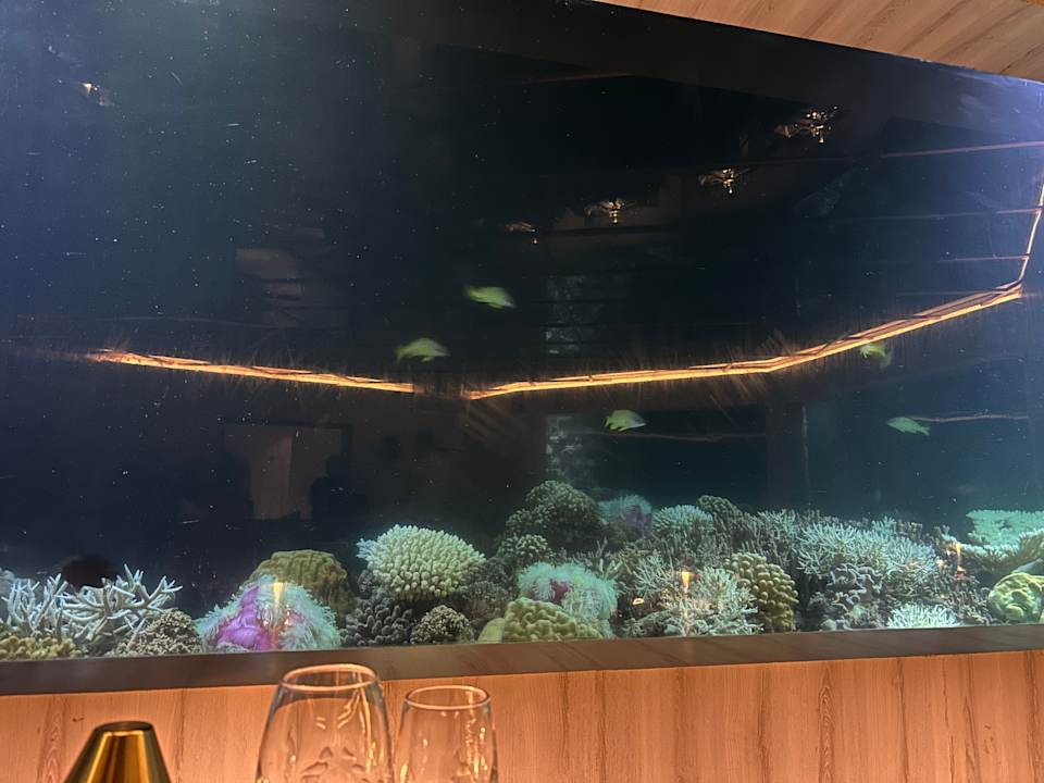 Gastro OZEN LIFE MAADHOO