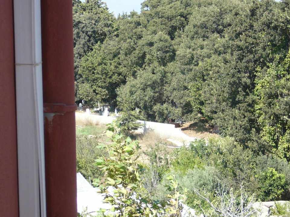 Sun Flipper Hotel Club Life Kizilot