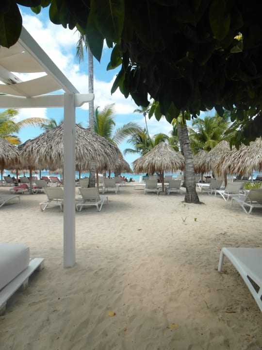 Strand Catalonia Royal La Romana - Adults only