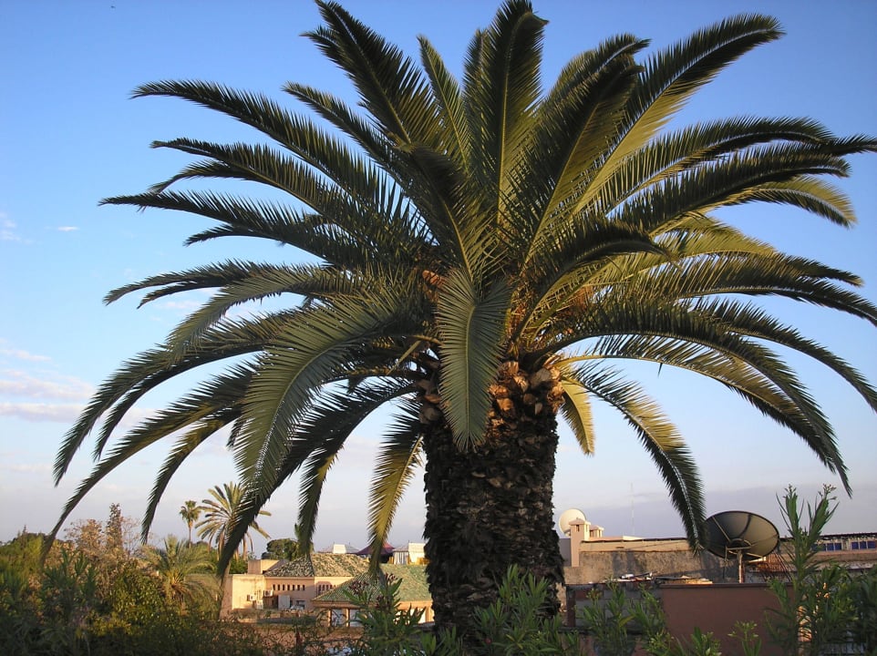 Blick von der Dachterrasse Hotel Le Gallia