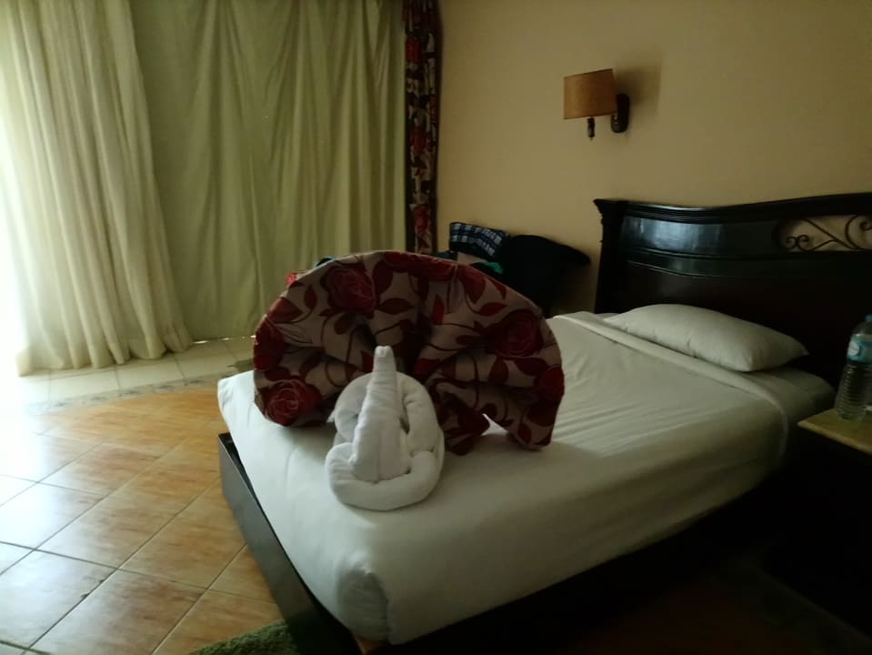 Zimmer Regency Plaza Aqua Park & Spa