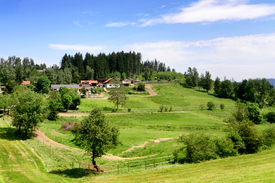 Außenansicht Tigerhill-Ranch-Norikerhof