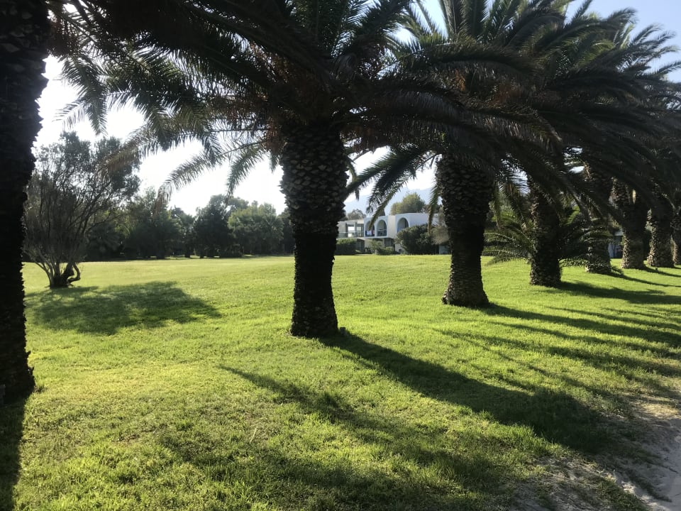 Gartenanlage Caravia Beach Hotel