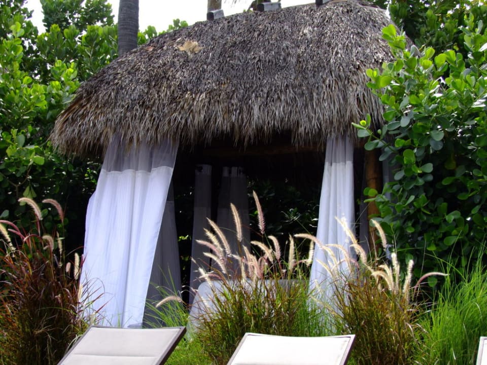 Garten The Palms Hotel & Spa